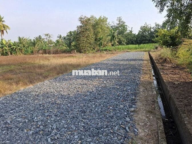 15x46m. Chỉ 750 Triệu. Gần Đường Lớn. Cạnh KCN Hiệp Thạnh.