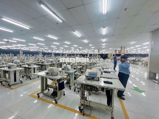 Cho thuê kho xưởng may Hương Lộ 2 , Mã Lò , Bình Tân , PCCC tự động