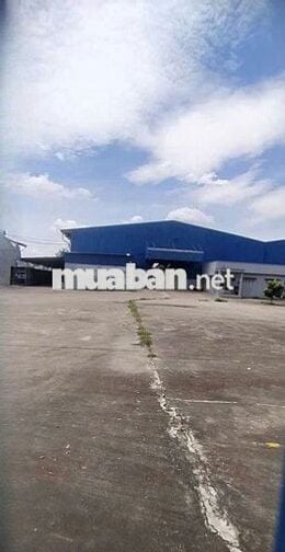Cho thuê kho xưởng may Hương Lộ 2 , Mã Lò , Bình Tân , PCCC tự động