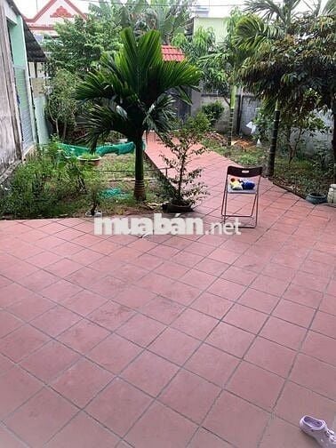 CHO THUÊ NHÀ PHƯỜNG TÂN HẠNH GIÁ 5,5 TRIỆU