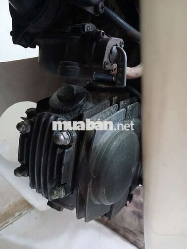 Honda Dream II 1998 Nâu trắng