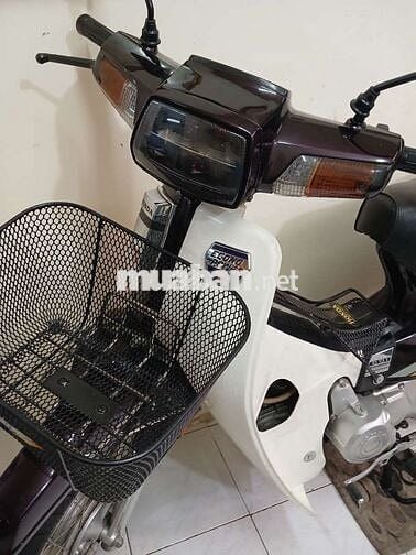 Honda Dream II 1998 Nâu trắng