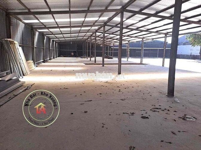 Chủ cho thuê xưởng 3600m, đg container quay đầu