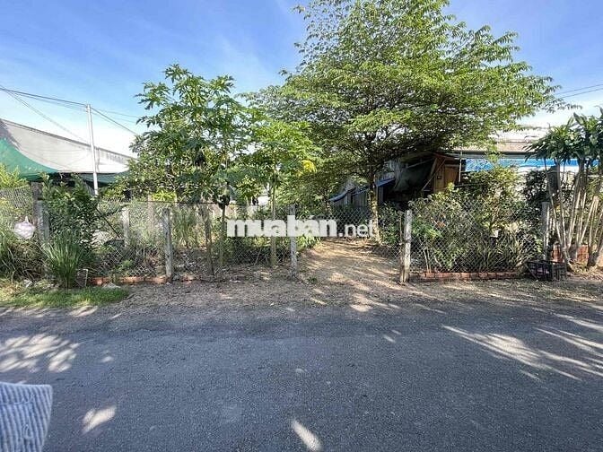 bán đất mặt tiền lộ nhựa xã phú hưng cách chợ giữa 300m