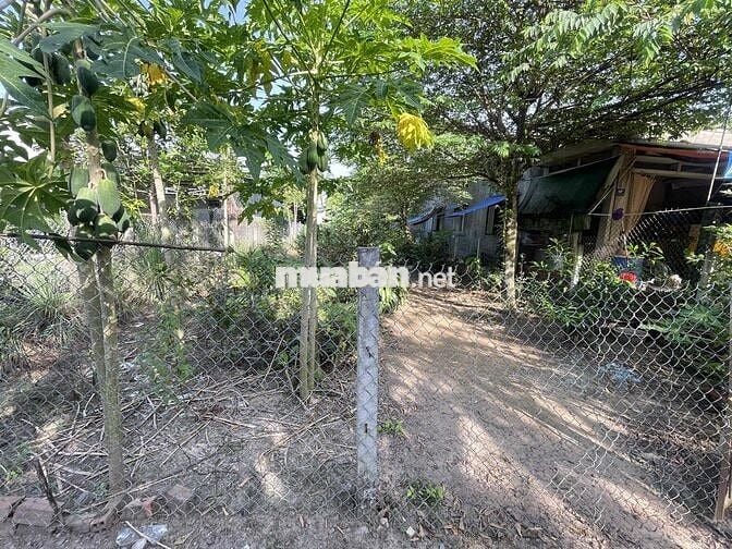 bán đất mặt tiền lộ nhựa xã phú hưng cách chợ giữa 300m