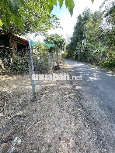 bán đất mặt tiền lộ nhựa xã phú hưng cách chợ giữa 300m