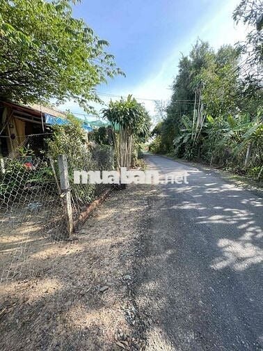 bán đất mặt tiền lộ nhựa xã phú hưng cách chợ giữa 300m