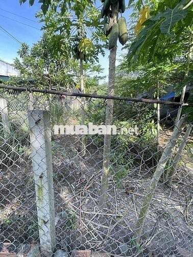 bán đất mặt tiền lộ nhựa xã phú hưng cách chợ giữa 300m