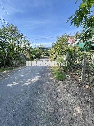 bán đất mặt tiền lộ nhựa xã phú hưng cách chợ giữa 300m