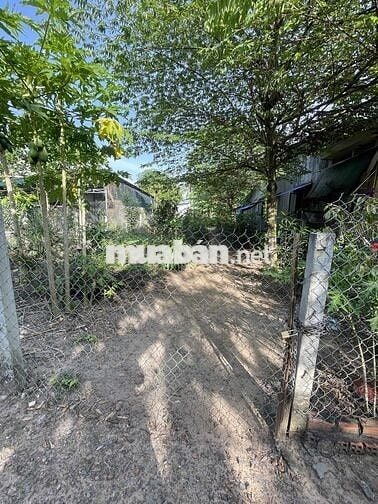 bán đất mặt tiền lộ nhựa xã phú hưng cách chợ giữa 300m