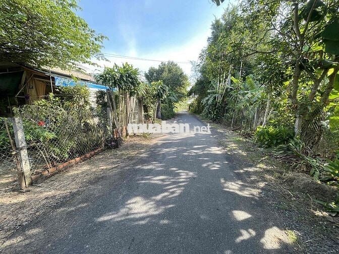 bán đất mặt tiền lộ nhựa xã phú hưng cách chợ giữa 300m