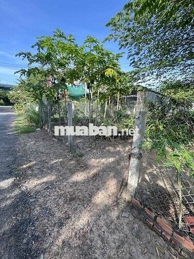 bán đất mặt tiền lộ nhựa xã phú hưng cách chợ giữa 300m