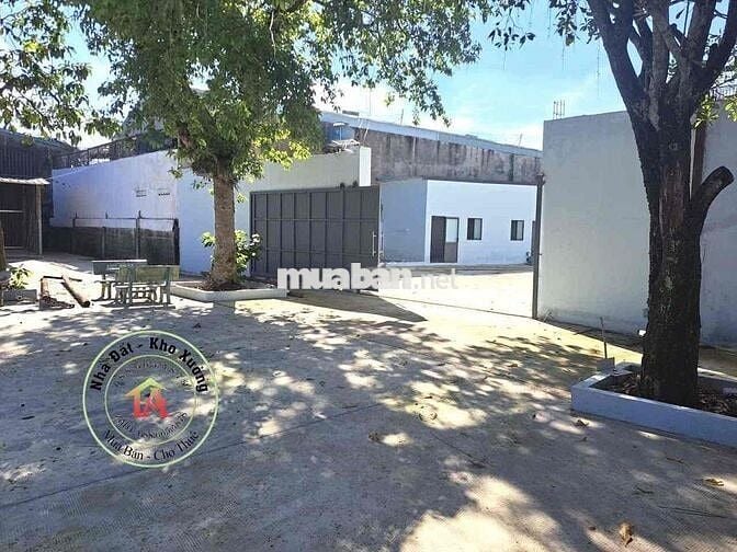 Chủ cho thuê xưởng 3600m, đg container quay đầu