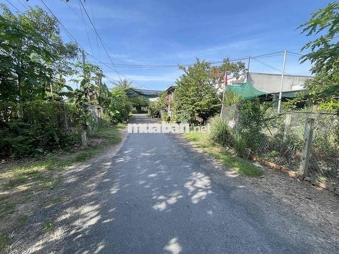 bán đất mặt tiền lộ nhựa xã phú hưng cách chợ giữa 300m