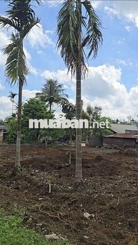 Trục chính Tara đường nhựa, hẻm cấp 1 Quốc lộ 26