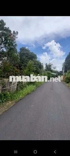 Đất bán thổ cư, Xuyên Mộc, gần biển cách Hồ Cốc, Hồ Tràm 10 phút