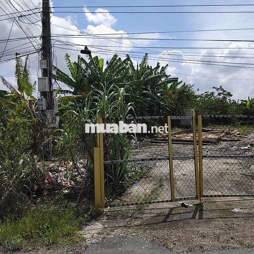 CHỦ NGÔP CẦN BÁN ĐẤT MT GIÁ RẺ