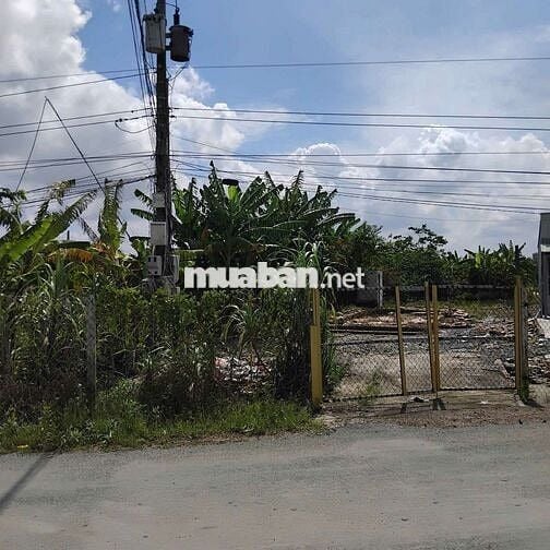 CHỦ NGÔP CẦN BÁN ĐẤT MT GIÁ RẺ