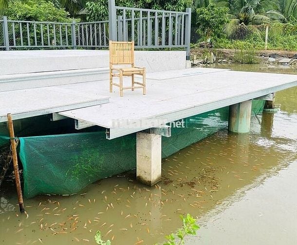 BÁN NHÀ VƯỜN 1.200M2– LÔ NHÌ– PHƯỚC LẠI, LONG AN- GIÁ NHỈNH 4 TỶ