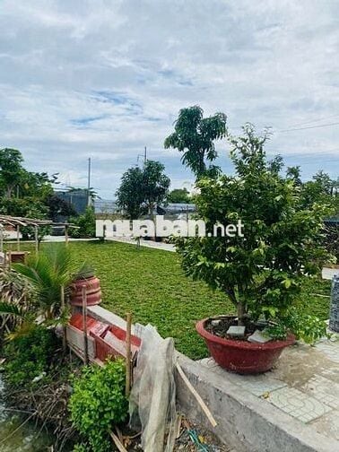 BÁN NHÀ VƯỜN 1.200M2– LÔ NHÌ– PHƯỚC LẠI, LONG AN- GIÁ NHỈNH 4 TỶ