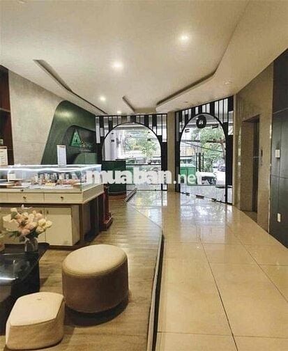 TÒA NHÀ ỐP KÍNH CỰC SANG CÓ THANG MÁY, PCCC – 37D Út Tịch, P.4, TB