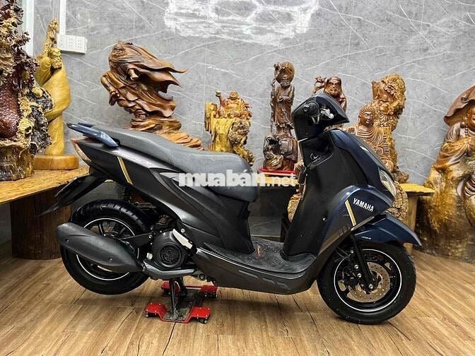 👉Freego 2021 chính chủ bstp khoá smartkey