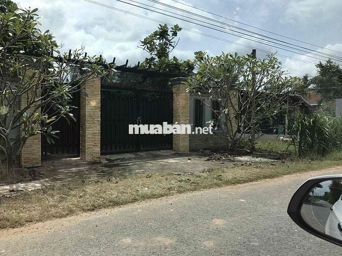 đất MT nhựa lớn kinh doanh mọi ngành nghề….