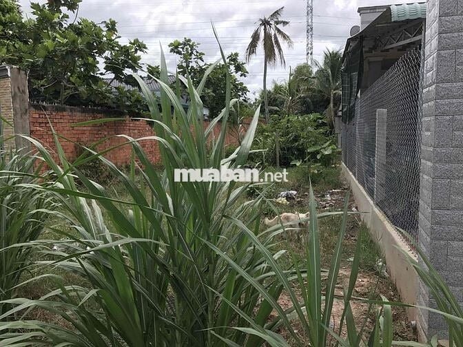 đất MT nhựa lớn kinh doanh mọi ngành nghề….