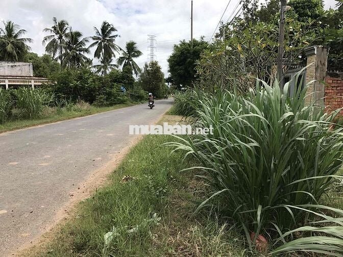 đất MT nhựa lớn kinh doanh mọi ngành nghề….