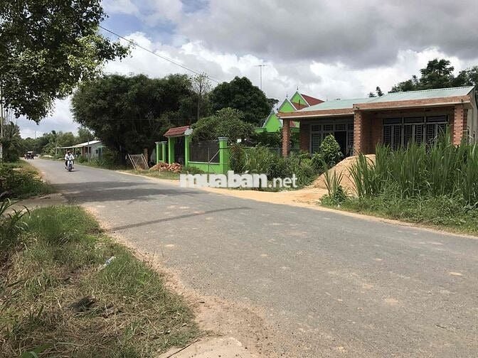 đất MT nhựa lớn kinh doanh mọi ngành nghề….