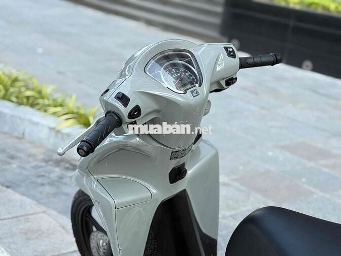 Honda Vision Sport Xi Măng Đẹp Nguyên Bản