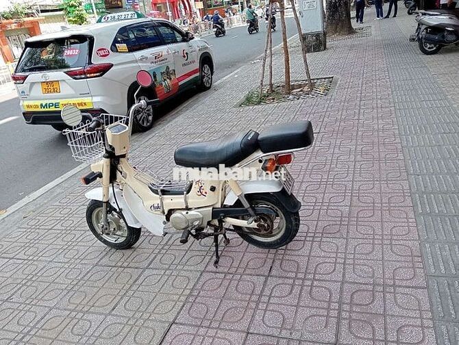 Honda Chaly 1984 Trắng kem