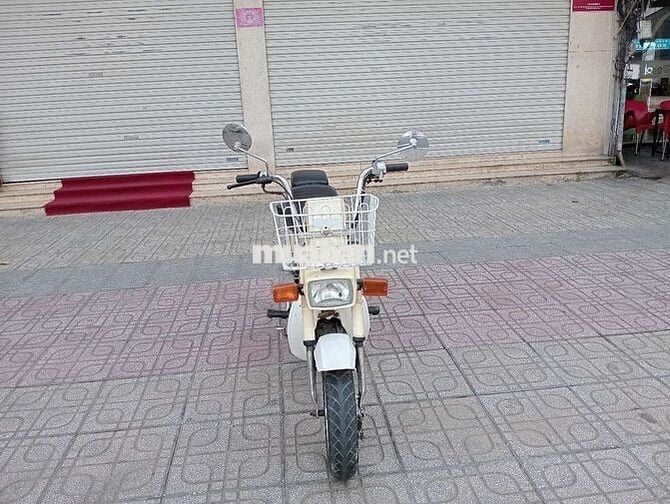 Honda Chaly 1984 Trắng kem