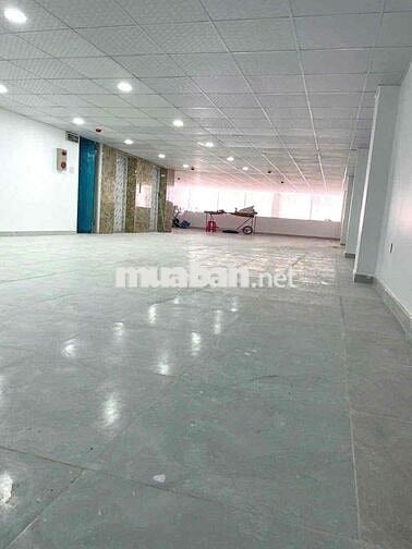 CHO THUÊ TOÀ NHÀ MỚI CHDV/KS,PCCC(8 TẦNG,THANG MÁY) BẠCH ĐẰNG,TÂN BÌNH