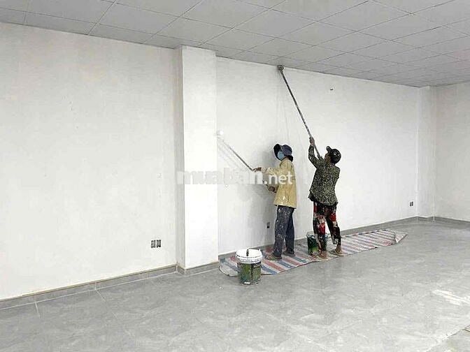 CHO THUÊ TOÀ NHÀ MỚI CHDV/KS,PCCC(8 TẦNG,THANG MÁY) BẠCH ĐẰNG,TÂN BÌNH