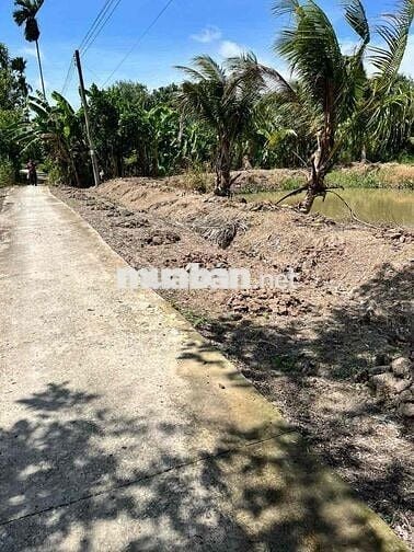 ĐẤT FULL THỔ CƯ 260TR GẦN VIỆN LÚA Ô MÔN