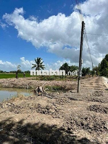 ĐẤT FULL THỔ CƯ 260TR GẦN VIỆN LÚA Ô MÔN