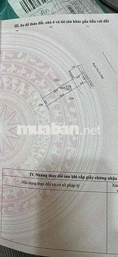 ĐẤT FULL THỔ CƯ 260TR GẦN VIỆN LÚA Ô MÔN