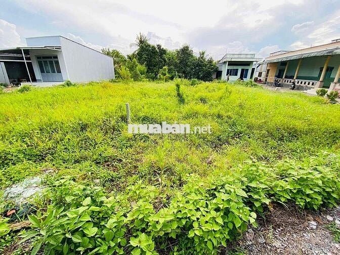 BÁN ĐẤT THỔ CƯ GẦN CÔNG AN Ô MÔN CẦN THƠ