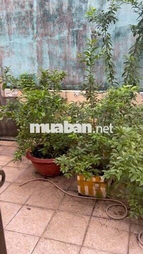 BÁN NHÀ HẺM 1 SẸT SÁT MẶT TIỀN NGAY TRUNG TÂM QUẬN 5 –  CHỈ 10 TỶ TL