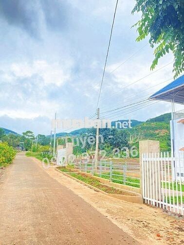 BÁN 500M2 ĐẤT, SỔ HỒNG RIÊNG CÔNG CHỨNG GIÁ 750TR