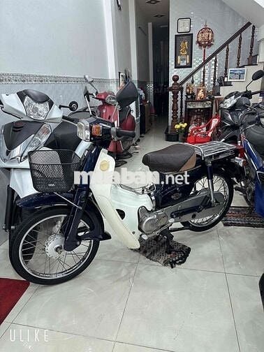 CUP HALIM 50cc ( Hàn Quốc ) BS: 65 Cần Thơ