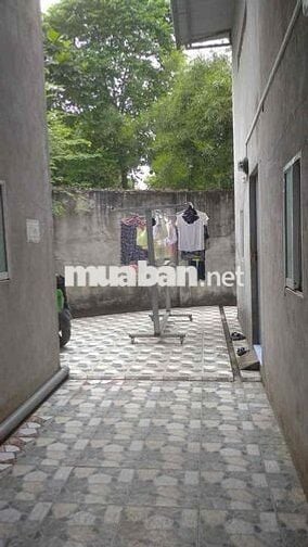 Gần Chùa Tuệ Châu Tự-Hướng ra Nhà Máy Nước Tân Hiệp