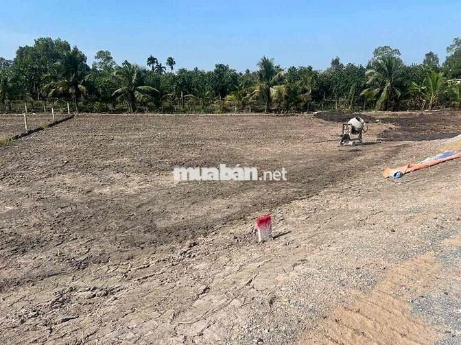 Đất vườn view sông lên full thổ ở Long An