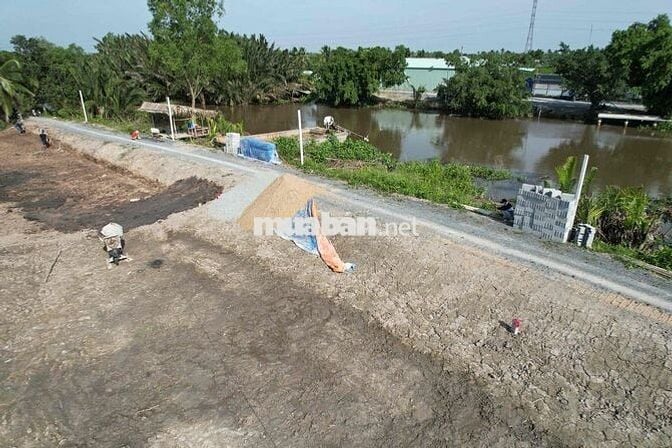 Đất vườn view sông lên full thổ ở Long An