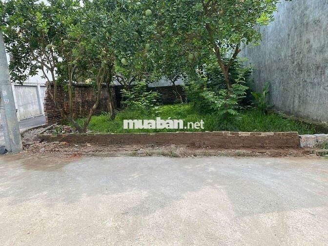 🔥 BÁN LÔ ĐẤT VIEW SÔNG HỒNG – NHÌN CẦU THƯỢNG CÁT 🔥