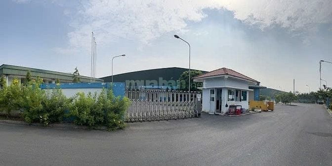 Cho thuê nhà xưởng 10.000m2,Tỉnh Lộ 10, Tân Tạo, Bình Tân, bảo vệ 24/7