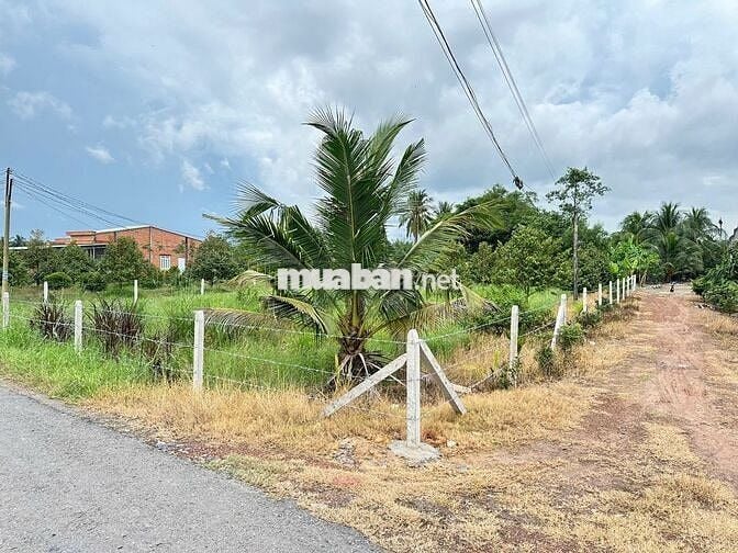 20x40m THỔ CƯ ĐẤT XÂY TRỌ-KINH DOANH GẦN KCN PHƯỚC ĐÔNG