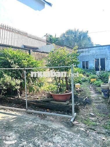 BÁN LÔ ĐẤT 100m2 TẶNG SẲN CĂN NHÀ HẺM XE HƠI GIÁ RẺ NHẤT THỊ TRƯỜNG