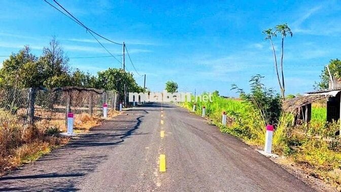 🔥 NGỢP NGỢP !! BÁN VƯỜN CÂY ĂN TRÁI  LÁNG DÀI, ĐẤT ĐỎ  GIÁ 1TY380